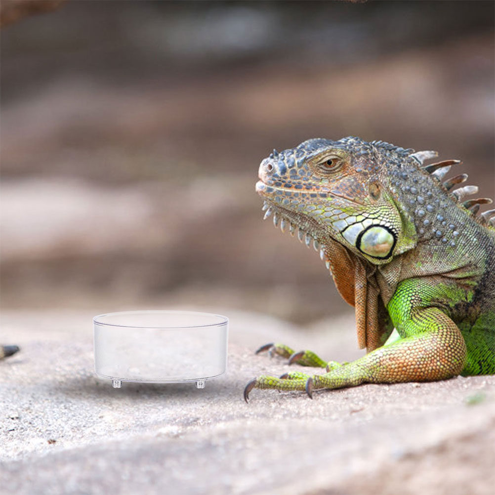 Hot