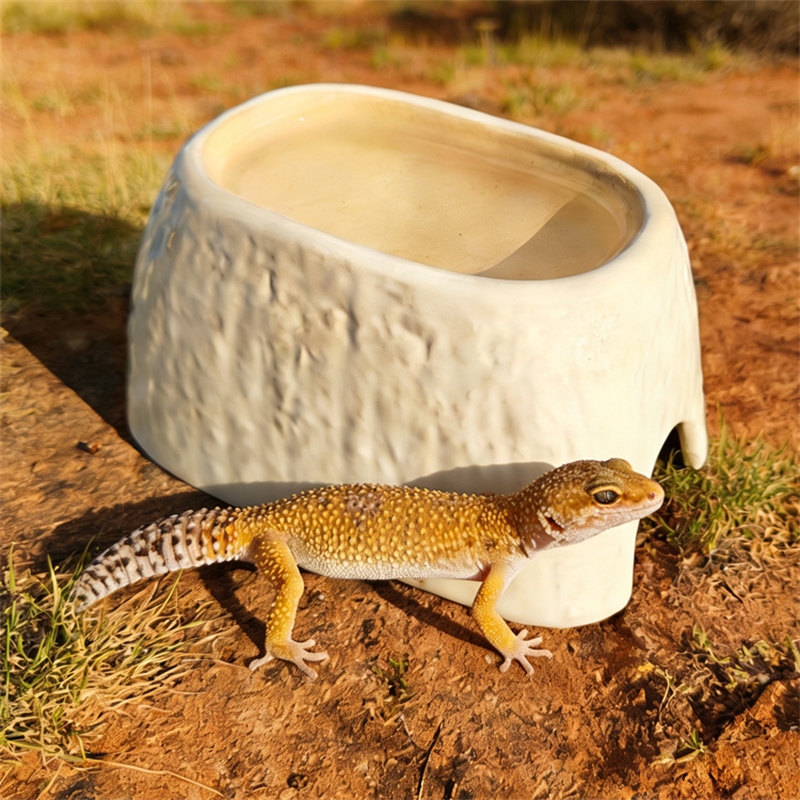 Hide Cave Ceramic - Caverna de Cerâmica com Estampa de